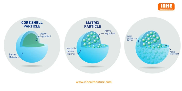 Microencapsulation Technology Microencapsulation Technology