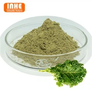 ผงคะน้าอบแห้ง