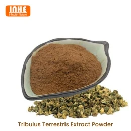 ผง Tribulus Terrestris: การใช้ การใช้งาน และข้อควรพิจารณา