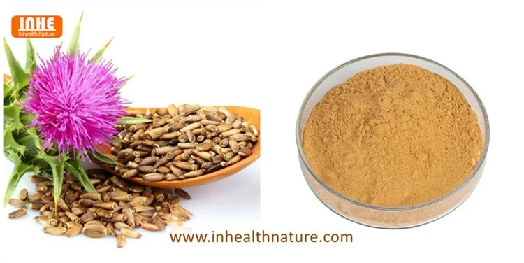 Milk Thistle Seeds and Silybin Phosphatidylcholine Complex