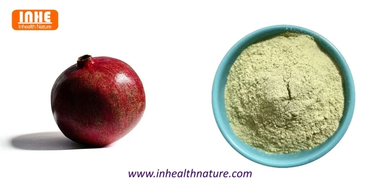 Pomegranate Fruit and Urolithin A Bulk Powder