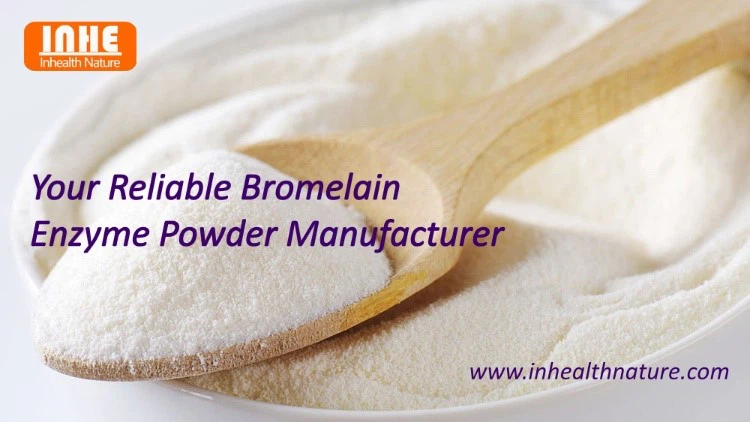 Bromelain Enzyme Powder Bromelain Enzyme Powder