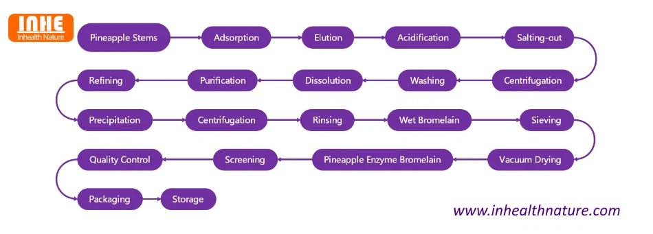 Inhealth Nature Pineapple Enzyme Bromelain Production Flow Chart Inhealth Nature Pineapple Enzyme Bromelain Production Flow Chart